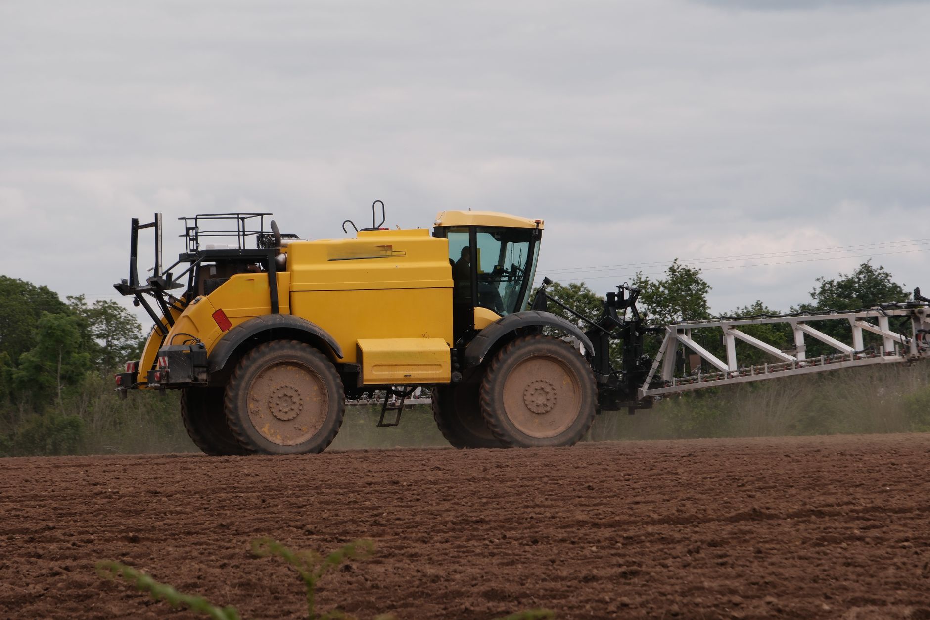 Que risquez-vous si vous laissez vos terres agricoles à l'abandon à Maurice ?